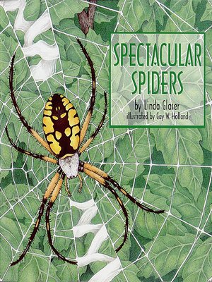 cover image of Spectacular Spiders